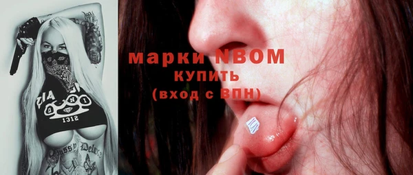 индика Армянск