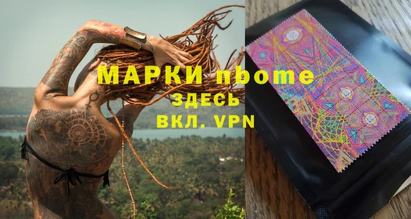 индика Армянск