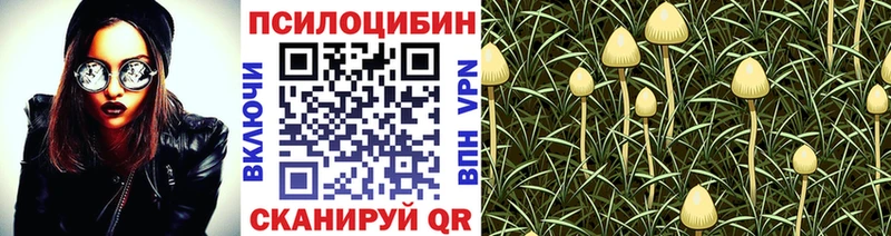 МЕГА зеркало Углич Псилоцибиновые грибы Psilocybine cubensis магазин